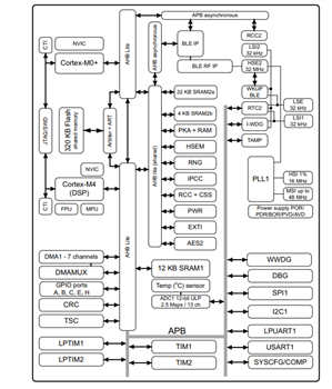 ブロック図 - STMicroelectronics STM32WB1xCCマルチプロトコル・ワイヤレス32ビットMCU